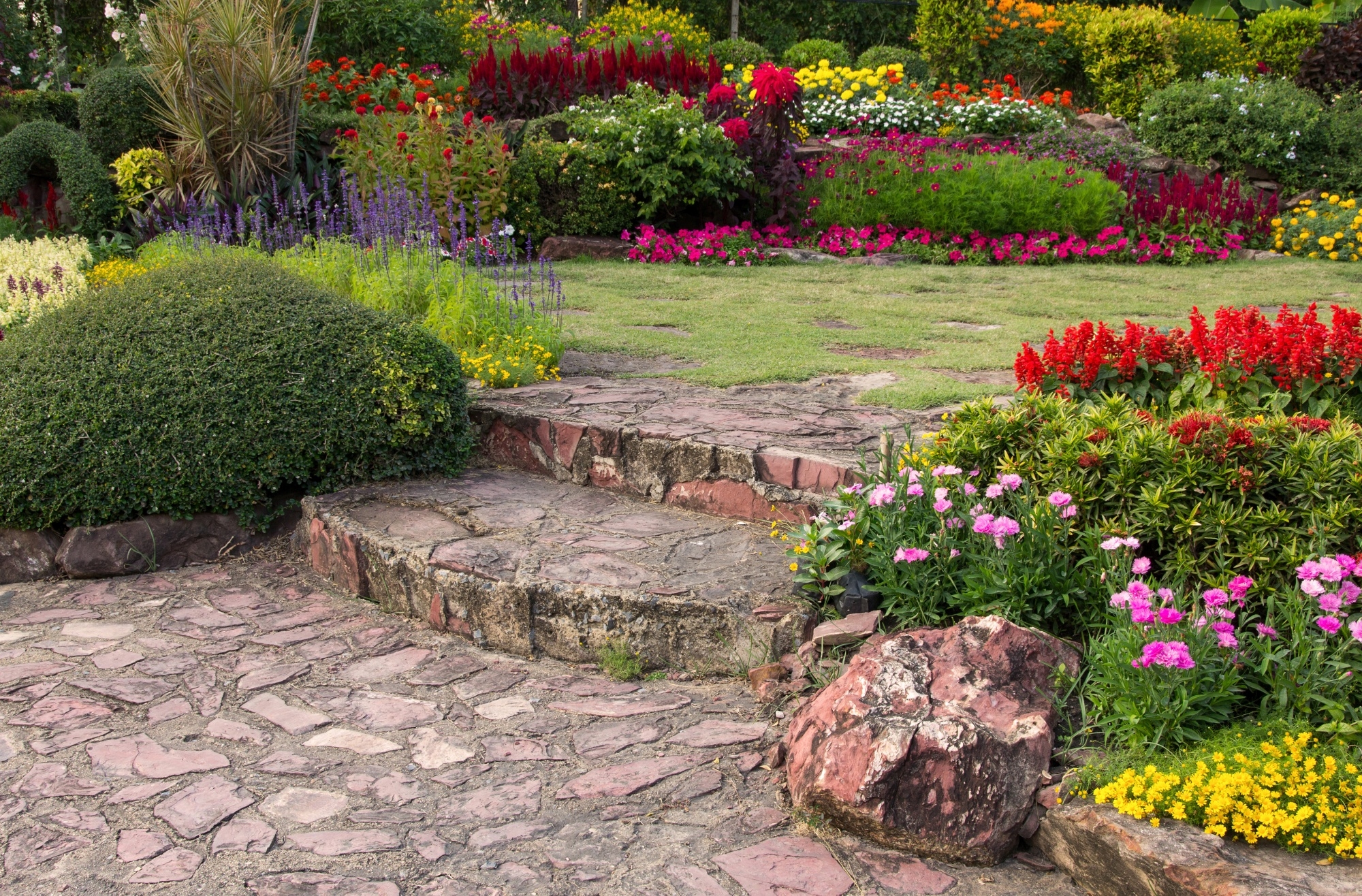 Beeindruckender Garten mit grünen Pflanzen
